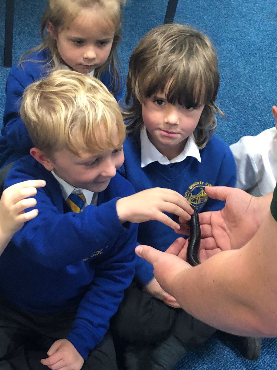JamesBrindleyPS's tweet photo. Finally our last animal guest was Lilly the millipede. A huge thank you to our animal expert Emily, you were fantastic! Thank you @wisciborg for a wonderful session! #howmanylegs #handsonscience #Year1science https://t.co/fYGC3o2qKS