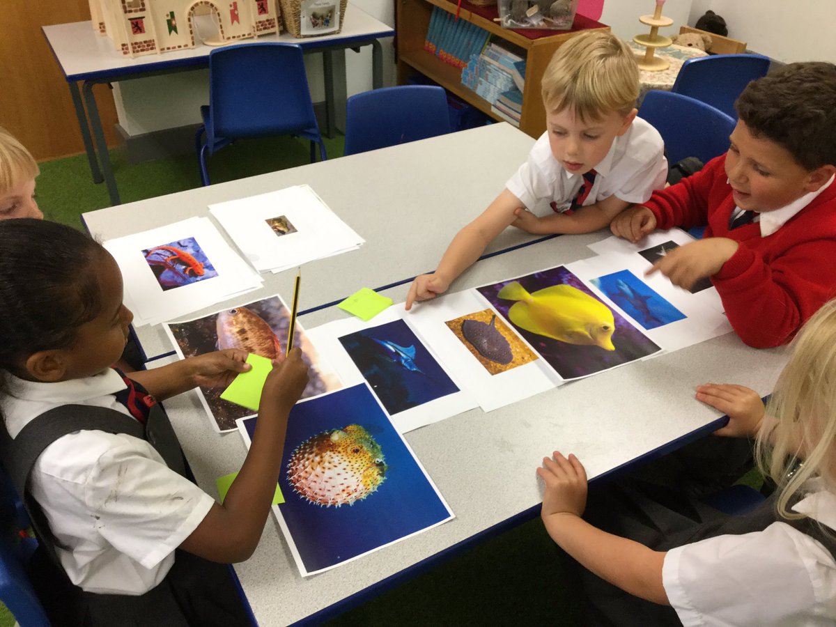 BollinPrimRFM's tweet photo. Super sorting in science this afternoon in Year 1MP 🤩 https://t.co/E7z4bxsp9b