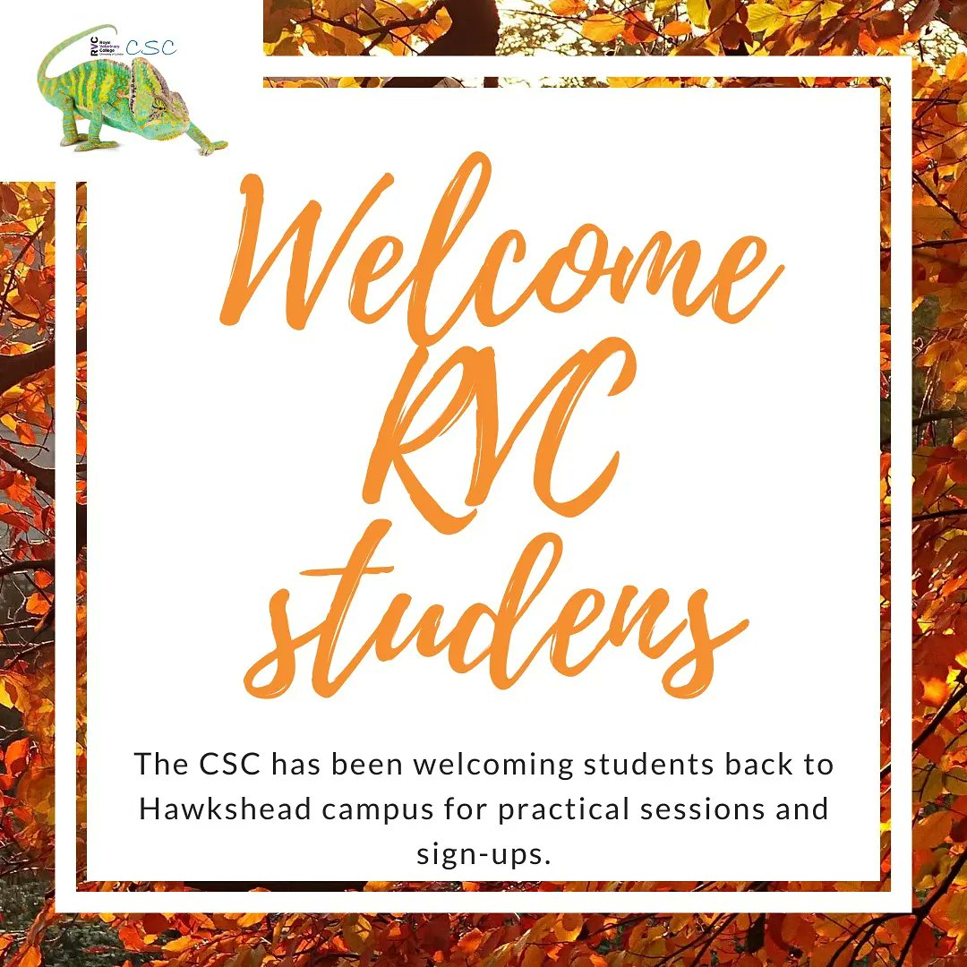 RVC Clinical Skills Centre tweet media