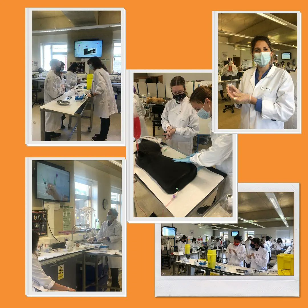 RVC Clinical Skills Centre tweet media