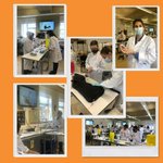 Photo by RVC Clinical Skills Centre (@RVC_CSC)