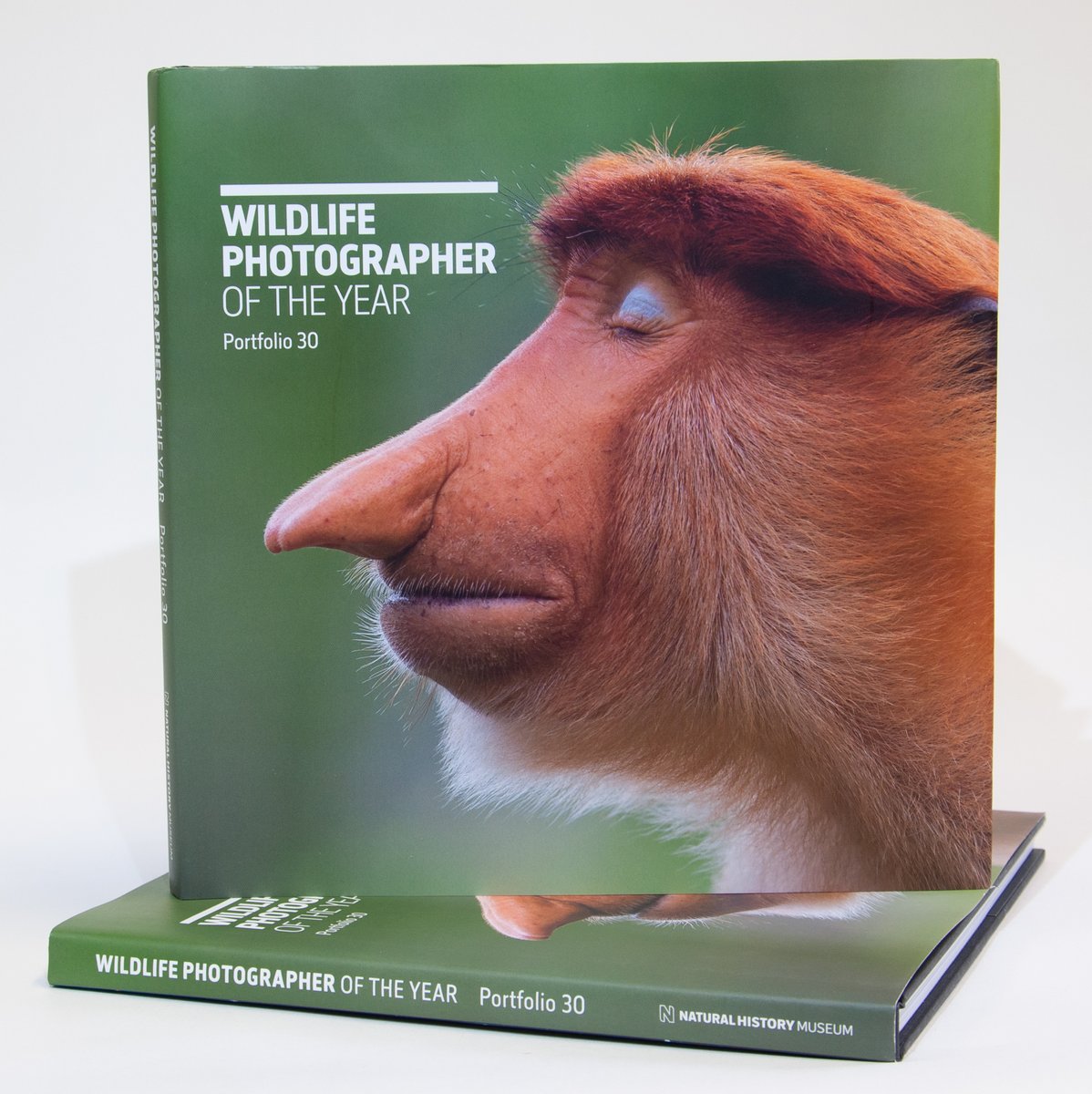 RAMMuseum's tweet photo. The 56th Wildlife Photographer of the Year exhibition is currently on display in #Exeter at RAMM! Buy the exhibition portfolio which features the full collection of 100 images awarded in the 2020 competition. Get it in our online shop https://t.co/Ec6d0Q0Lgt #WPY56 @NHM_WPY https://t.co/FJCHhLvqhI
