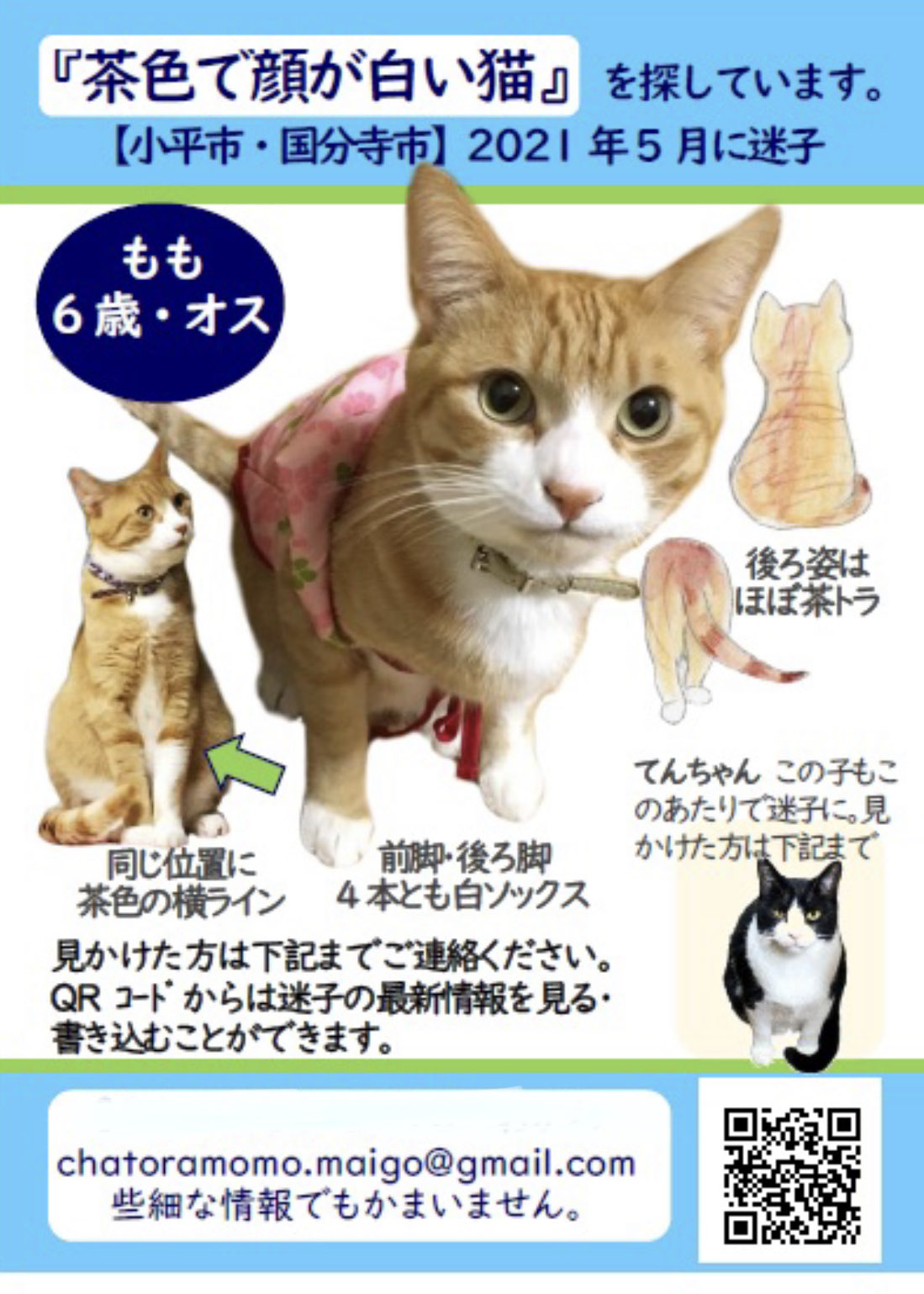 茶色猫 Twitter Search Twitter