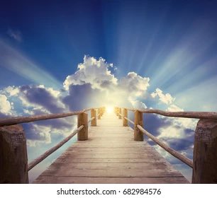 AvaxIntern🔺 tweet media