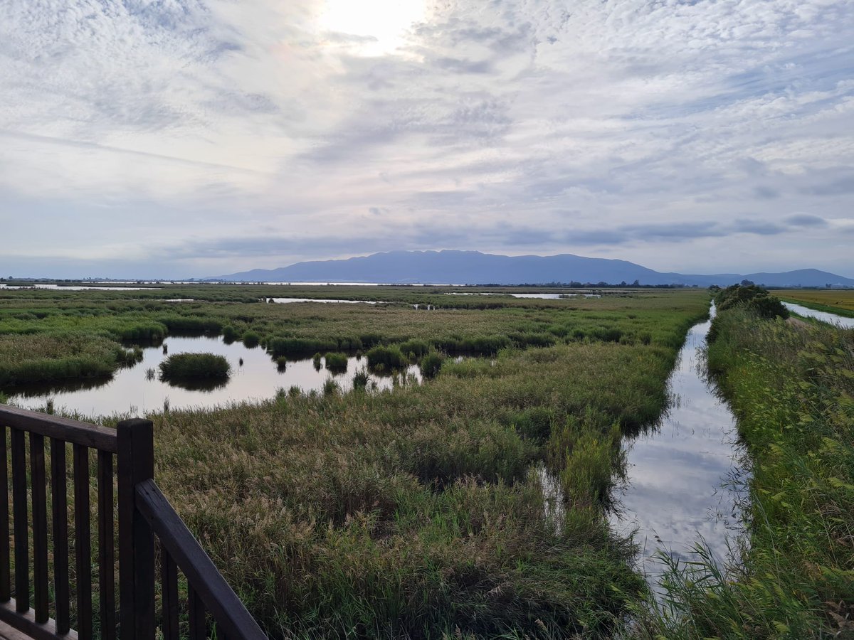 Veolia_Cat's tweet photo. 🦆 Enhorabona per la tornada del @DeltaBirdingF, el Festival Internacional d'#Ornitologia del #DeltadelEbre, celebrat a #Amposta!
🤝 Un esdeveniment únic on hem col·laborat amb activitats i sortides als aiguamolls de l'Embut i l'Illa del mar. #dbf21 #dbf2021 #BackToBirding https://t.co/7xNjMQDQsh