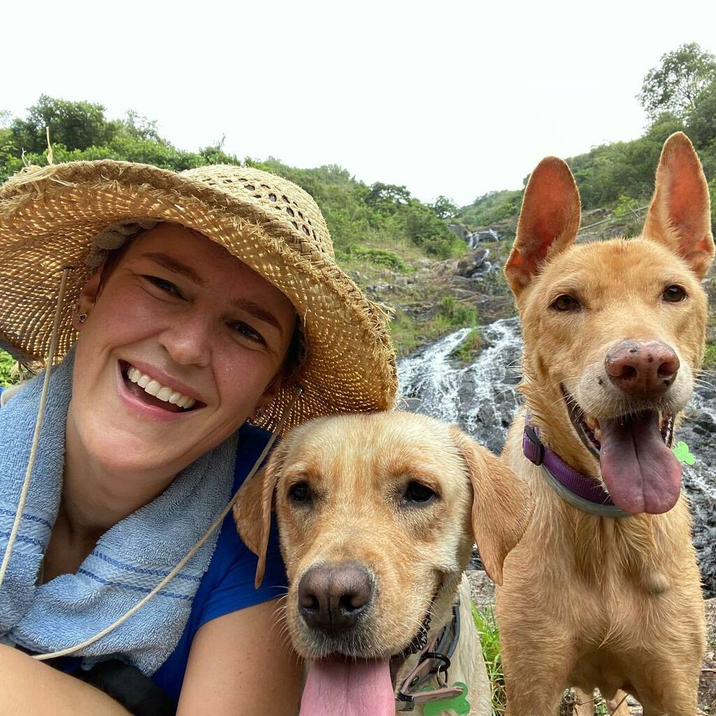dogjournals's tweet photo. Happy #tongueouttuesday everybody! #Lola_sht #Byron_sht #adoptdontshop #waterfall #secretwaterfall #muiwo #lantau #lantauisland #lantauismyplayground #rescuedogsofinstagram #hongkongsummer #tot #Gregory_sht #kzbyron #kzgregory #kzdogs #kirstenszoo https://t.co/JeGakNZUvZ