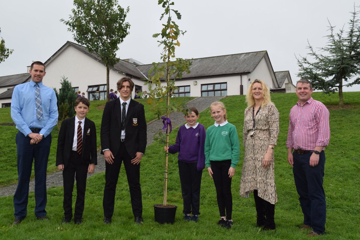 We enjoyed sharing a gift of a little oak tree with the students and staff of Lough View Integrated Primary School.  This is the start of our, ‘Little Acorn Project,’ as part of our 40th Anniversary Celebration of integrated education in Northern Ireland. 
<a href="/ief/">Yves Van Landeghem</a> <a href="/NICIE/">nicie</a>