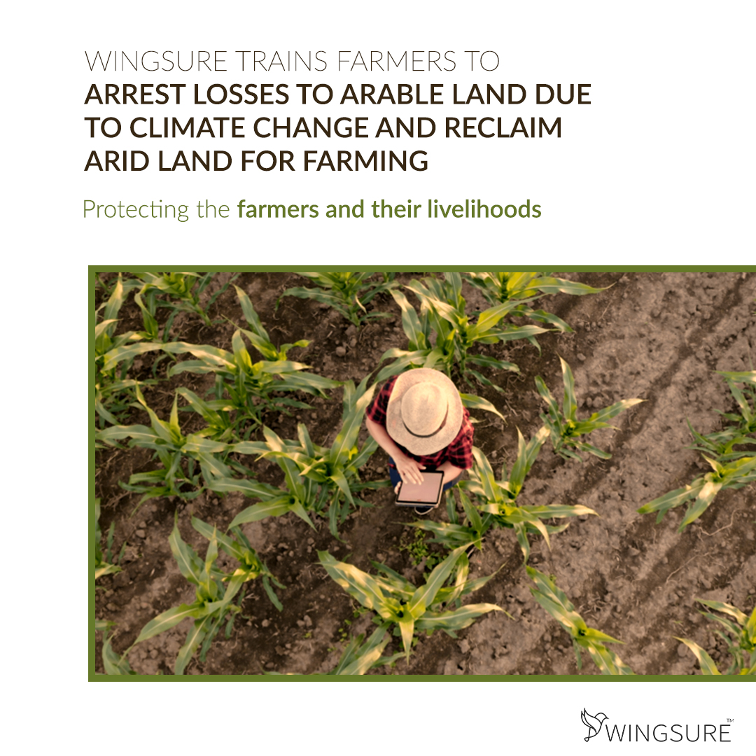 wingsure's tweet photo. Proper agricultural practices can arrest losses to arable land, presently ranging from 18% to 40% globally due to climate change and reclaim arid land for farming. https://t.co/doM65JjKe2

#RegenerativeAgriculture #RegenerativeFarming #Wingsure #ClimateChange #farming #farmers https://t.co/RrJEE8MoYg