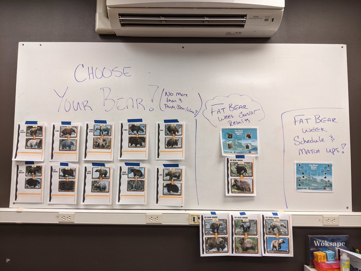 It's the most wonderful time of the year! Happy Fat Bear Week everyone, May the best bear win!