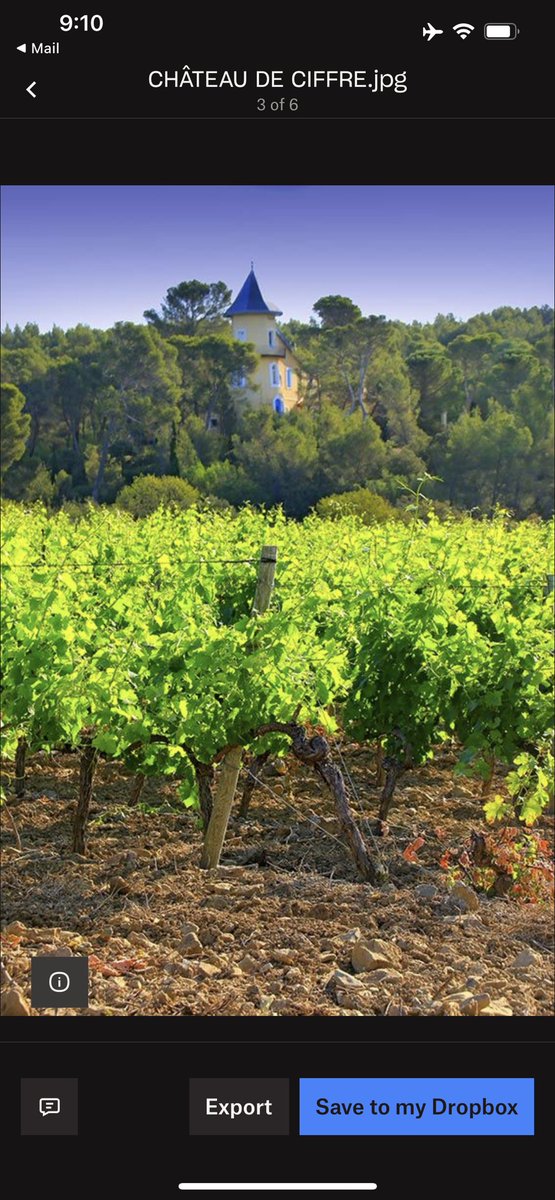 AttorneySomm's tweet photo. Maison Lorgeril is one of the top producers in the Languedoc, so I’m excited to be hosting a virtual tasting with Miren de Lorgeril on Thursday, September 30 at 1 pm Eastern / 7 pm Paris time!  Details below. 

📸 by Maison Lorgeril 

https://t.co/MqRmUGsYmQ

#wine #vin https://t.co/INbJhGwJEw