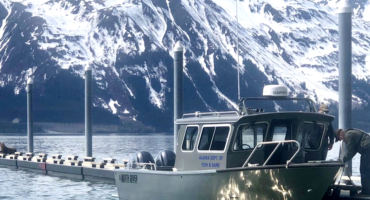 Alaska has 3 million lakes and more than 6 thousand miles of coastline. Let's do this! 
📸    #NorthRiverBoats #YamahaOutboards #Alaska