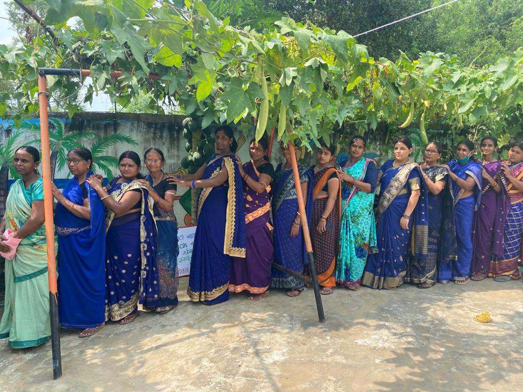 CDhanarua's tweet photo. Poshan vatika Mahmadpur @PoshanAbhiyaan @POSHAN_Official @PatnaPoshan @dm_patna @MinistryWCD @IPRD_Bihar @BRPOSHAN @IcdsBihar @Chshekhar2010 https://t.co/cJ3gUKSA2u