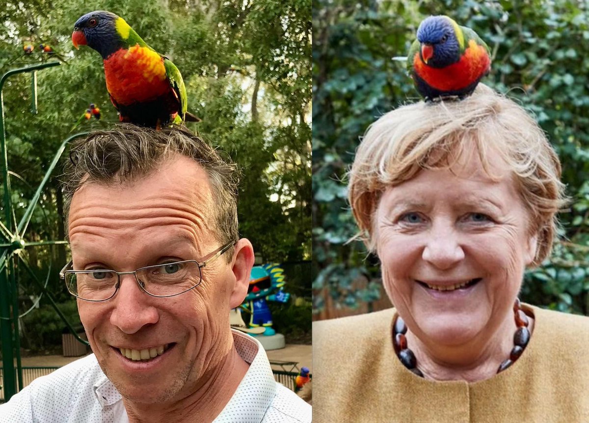 Neulich im Vogelpark #Papagei