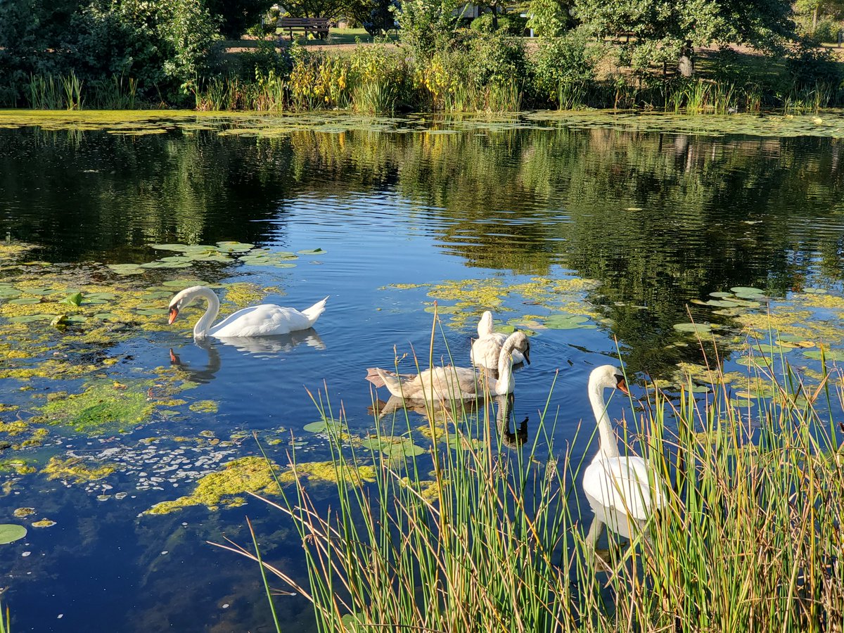 Good morning from Lake Katherine.