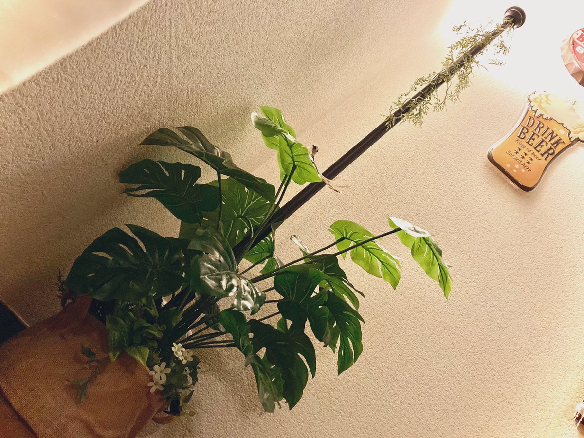 みんなの ナフコ 口コミ 評判 食べたいランチ 夜ごはんがきっと見つかる ナウティスイーツ