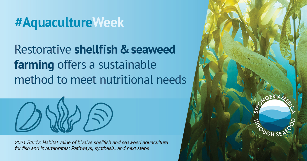 Seafood4America's tweet photo. A new study from @nature_org and #aquaculture researchers found #restorativefarming maintains and improves the health of the waters, lands, and animals we live alongside. View the highlights of the study: https://t.co/UQ8AOEYRn4 #AquacultureWeek https://t.co/tOox6XNJoi