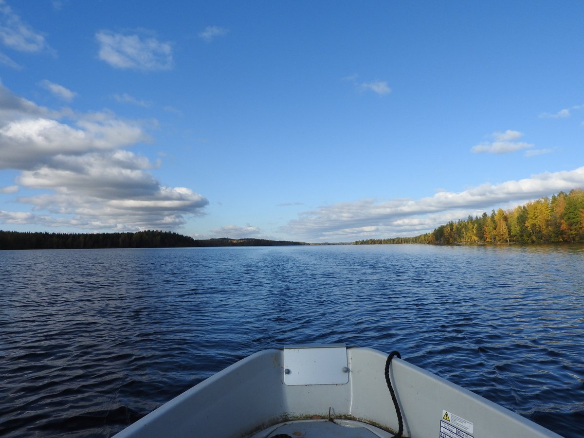 ErjaP's tweet photo. Lähes kolme tuntia yksinsoutua. Ei sitten veneen venettä minun lisäkseni näillä vesillä! #puula #syyskuu #kesäköohi #parhaatkelit https://t.co/r5aXGI4DhF