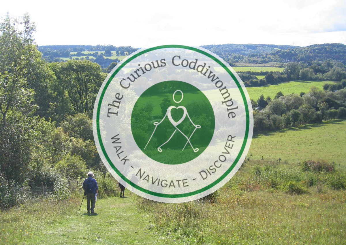 Curious Team tweet media