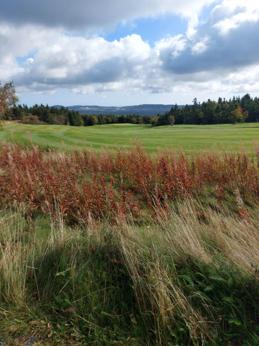 pippy_park's tweet photo. ⛳️ No need for a filter on the Admiral’s Green 753-7110 ext 2
#hole10 #admiralsgreen #golf #pippyparknl #18hole #9hole #golfing #explorenl #atlanticcanada #eastcoastcanada #staycation2021 #stjohnscaptured #stjohnsnewfoundland https://t.co/GSjaEeoDm3