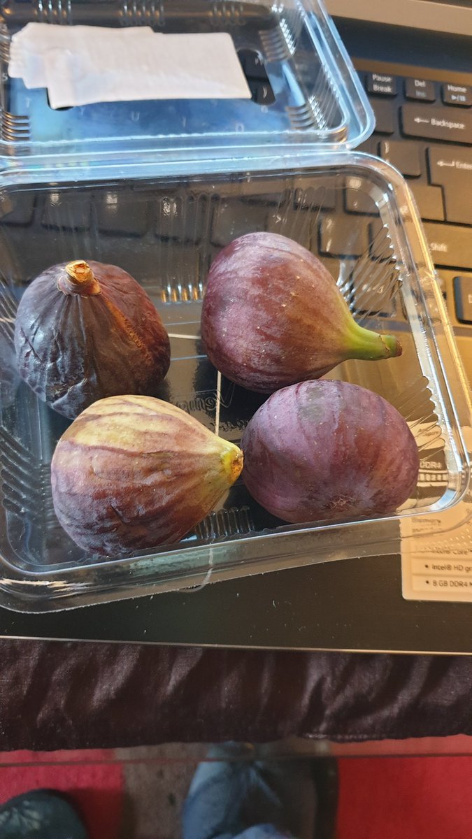 ISIISPR1's tweet photo. Pakistans Fresh Figs https://t.co/VWUPyBlNDd