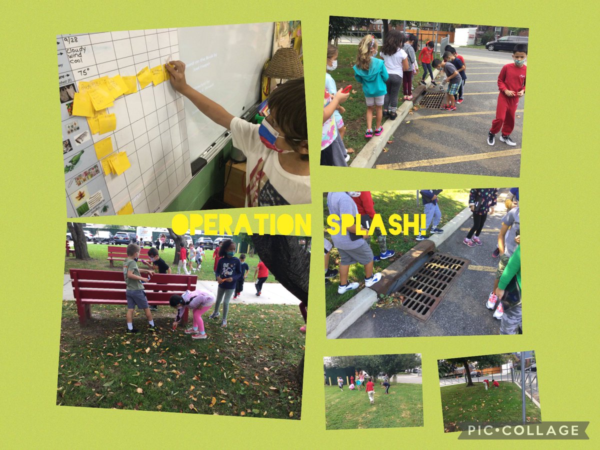 Leeweerichards's tweet photo. To the storm drain! We collected 1 pound of garbage that could have ended up in our waterways. What kind of trash are we finding the most of and why?
⁦@Hampton_Street⁩ #mineolaproud #operationsplash #steamchallenge https://t.co/UUxm8DrdCB