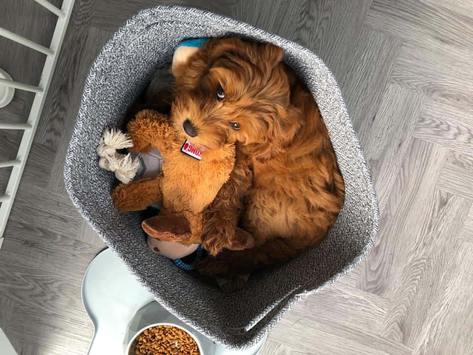 Midday naps don't count if they're not in your bed, right? 😅