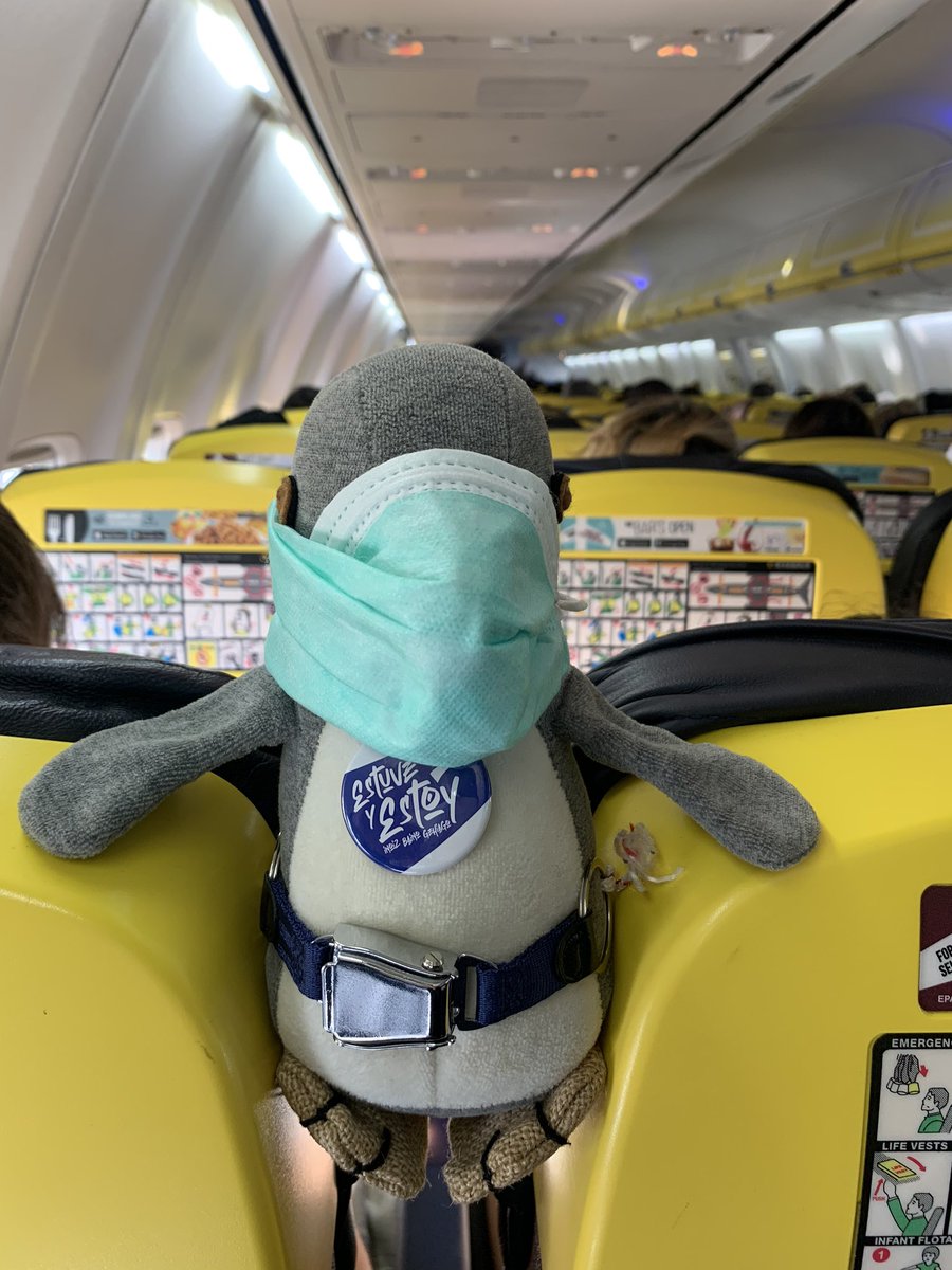 Ryanair_ES's tweet photo. Menciona a tu mejor compi de viaje 🙋🏻‍♀️😎

Te leo en los comentarios 👀

📸: @Pinguy2 💛

#ryanairstories #healthyflying https://t.co/iP1Vntr1Vi