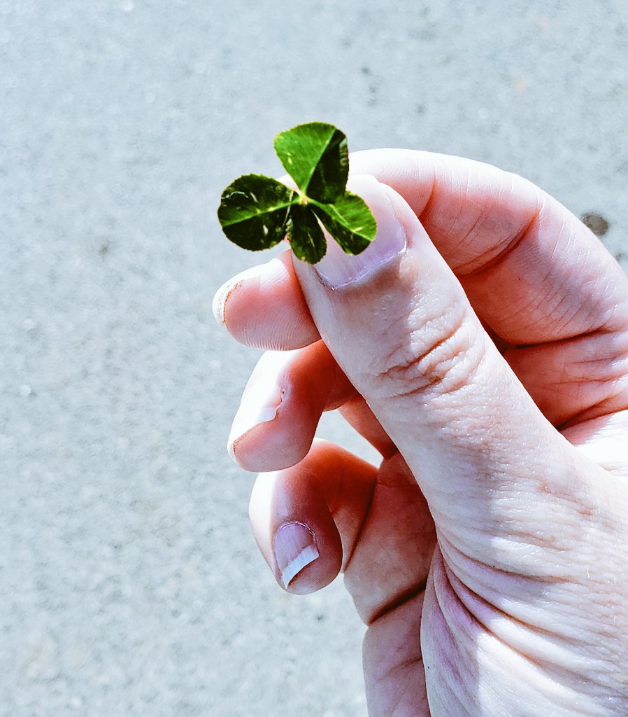 kirkscorner's tweet photo. The thing about @HHSMountaineers is that there are always these #littlesigns reaching out to say this is the best place to be. Look what found me while putting up homecoming banners. #luckyduck #hhsistheplacetobe #mystudentsinspireme #homecoming2021 https://t.co/2HxNxTLYgr