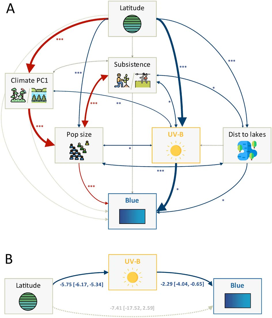 Environment and culture shape both the colour lexicon and the genetics of colour perception. New paper with the wonderful @Dan_Dediu @JosserandMathi1 &amp; Emma Meeussen in <a href="/SciReports/">Scientific Reports</a>  nature.com/articles/s4159…