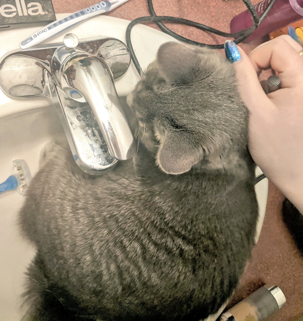 When you're trying to get ready for work and your cat literally jumps up, knocks all of your shit to the floor, realizes he is trapped so he just chills in The sink lol #cutecatpics #catsoftwitter