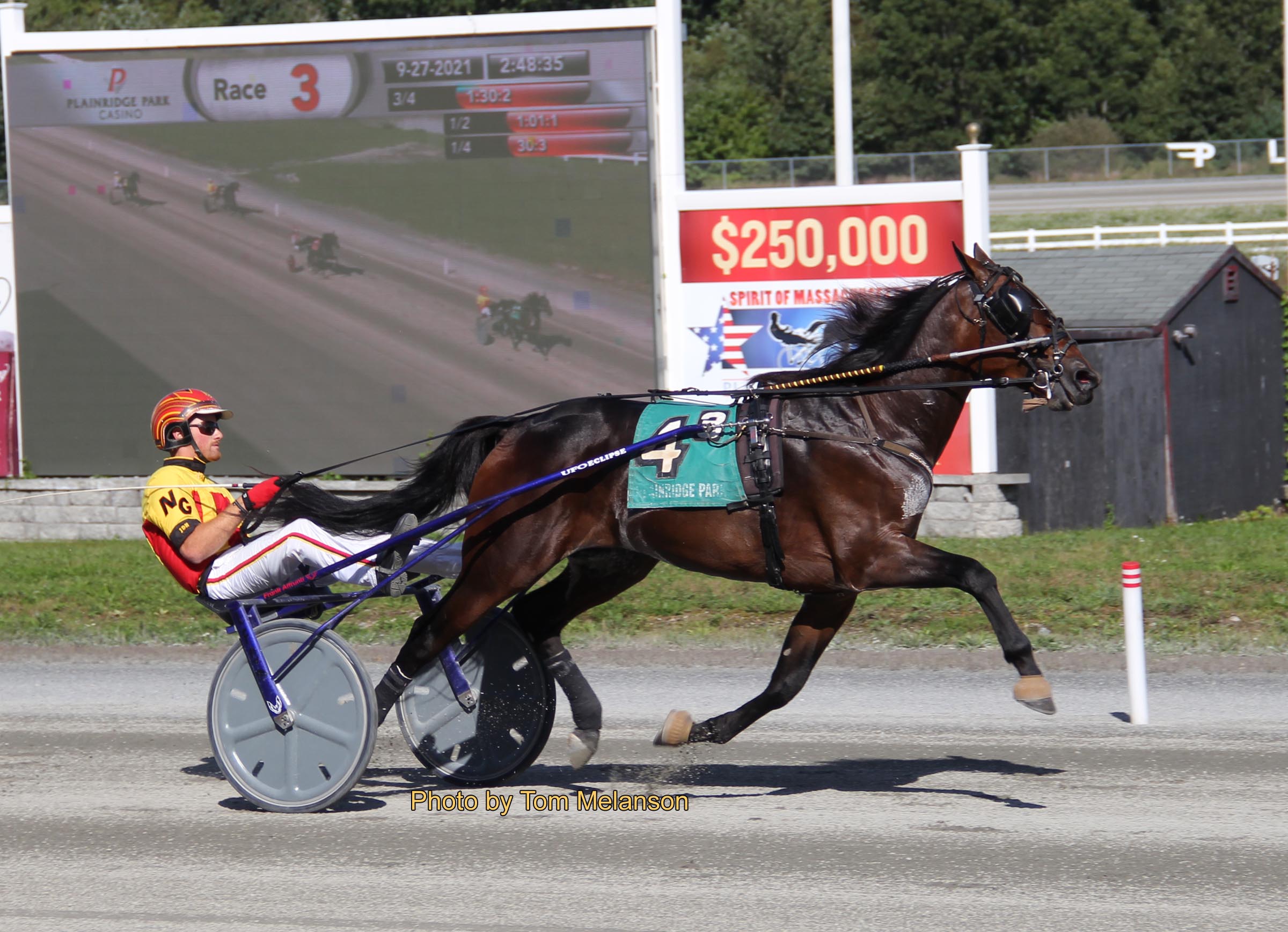 United States Trotting Assn Entries And Results