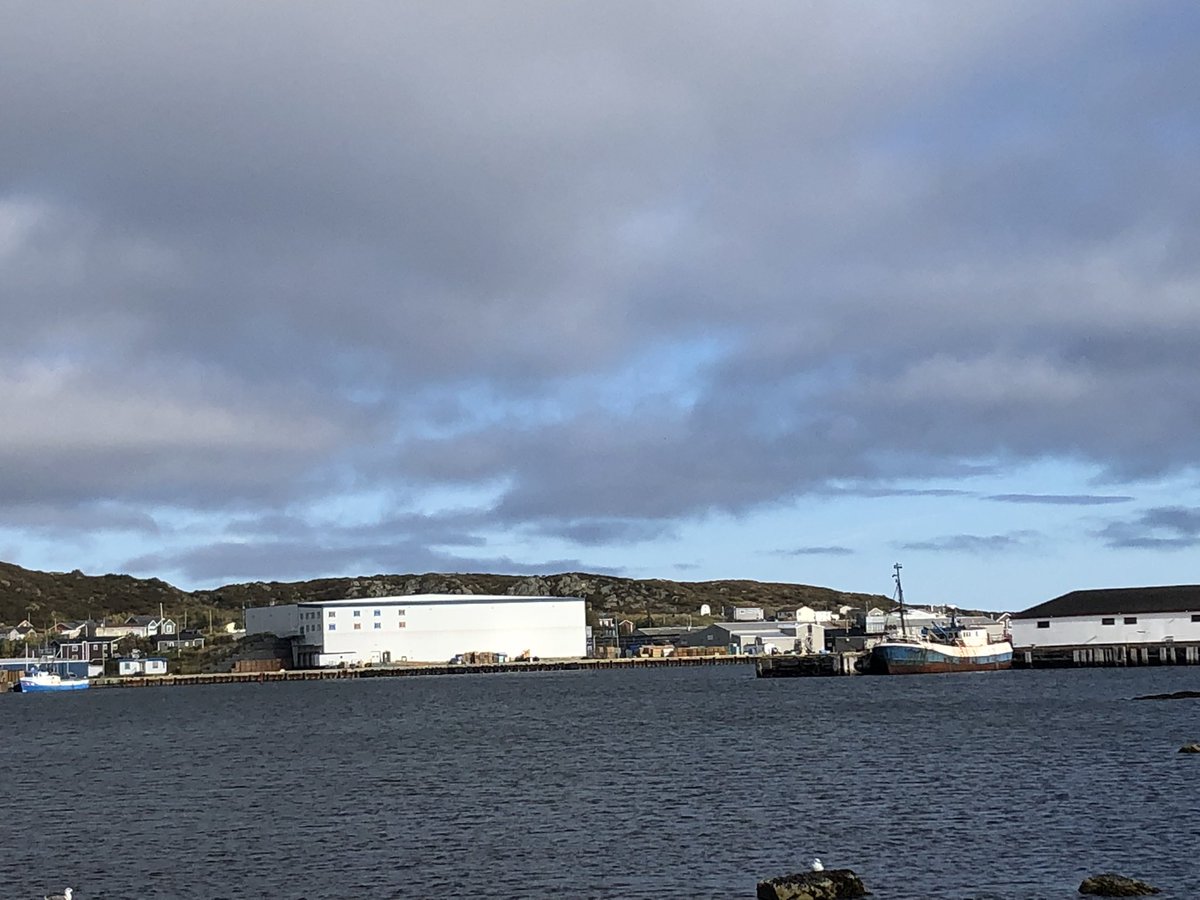 BrennanLowery2's tweet photo. Excited to join the @CRRF_FCRR conference over the next 2 days from the beautiful Great Northern Peninsula! #shareyourrural #inclusiveeconomies2021 https://t.co/YP8UTRdpsO