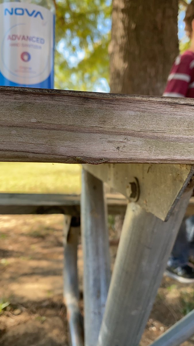 Katie Cribbs tweet media