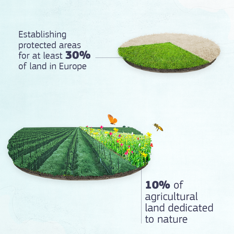 EU_Commission's tweet photo. It's #EUPollinators Week! 🦋🐝🦋

With the #EUPollinators Initiative and the #EUBiodiversity Strategy for 2030, we are taking action to address pollinator decline.

Let's work together to ensure Europe is buzzing with bees.

More info in our #EUDataCrunch ↓