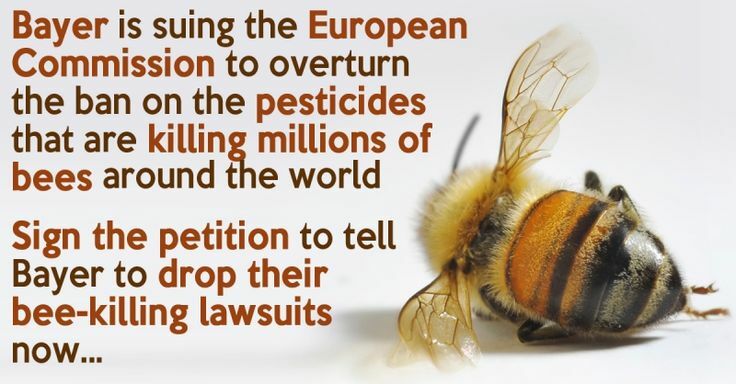 OrganicLiveFood's tweet photo. #Bayer #Pesticide Chemicals Killing #Bees: https://t.co/MbHo997rWu From manufacturing poison gas to hiding side effects of its mind altering #drugs and spending mi… https://t.co/31ZqIXmOoN