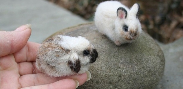 RabbitEveryHour's tweet image. 