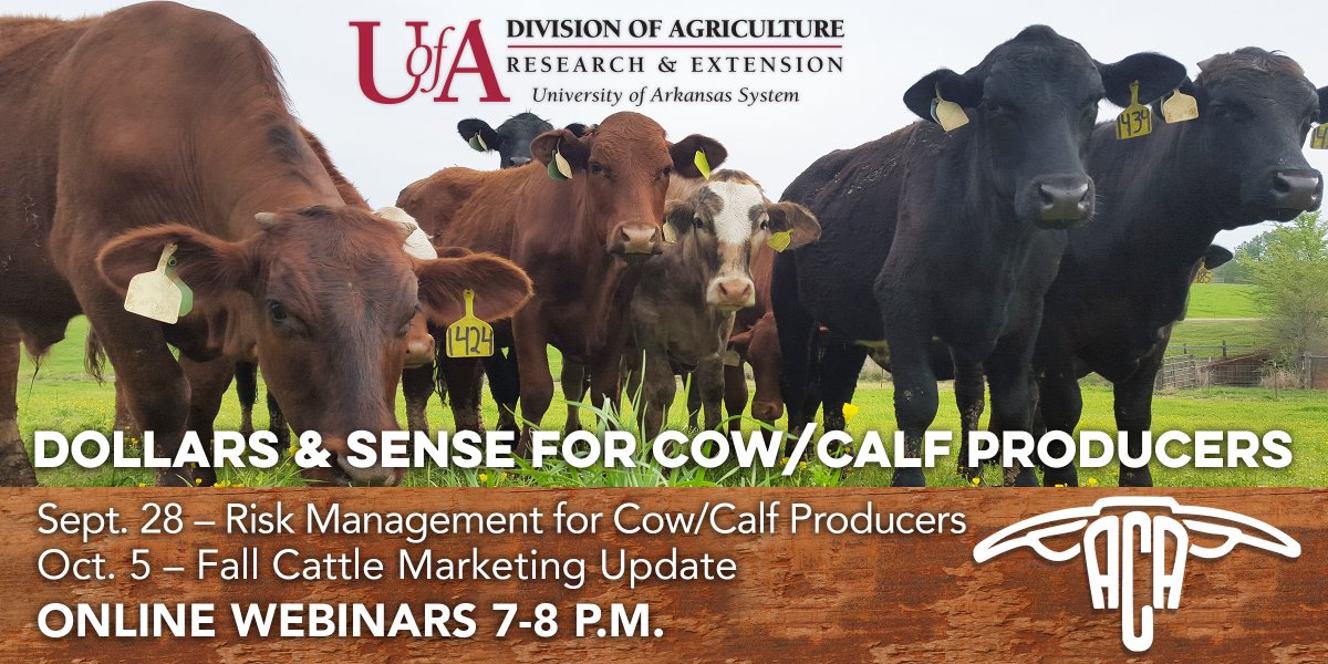 UAEX_CATTLE's tweet photo. Join us tonight and next Tuesday for our free fall cattle webinar series. https://t.co/WWNrYLvGRK