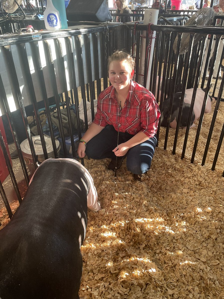 elkins_ffa's tweet photo. All of our students have done a great job at the fair! Here are pictures of Noel and Taina getting ready for show with their pigs and Aidan getting ready for show with his goat! https://t.co/mK7tDJAhDg