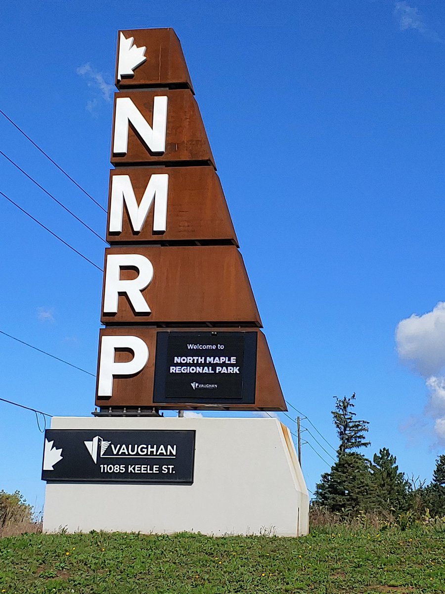 FLATO DEVELOPMENTS is happy to have donated $20,000 to the 18th Annual <a href="/RunForVaughan/">Run for Vaughan</a>, supporting Cortellucci Vaughan Hospital. With <a href="/RudyCuzzetto/">Rudy Cuzzetto 🇨🇦🇺🇦</a>, <a href="/MelissaLantsman/">Melissa Lantsman</a> <a href="/FlatoDev/">FLATO DEVELOPMENTS</a>, <a href="/Sflecce/">Stephen Lecce</a>, and <a href="/AMYACanada/">Muslim Youth Canada</a>. <a href="/MackenzieHealth/">Mackenzie Health</a> #community #socialgood #helpingothers #givingback