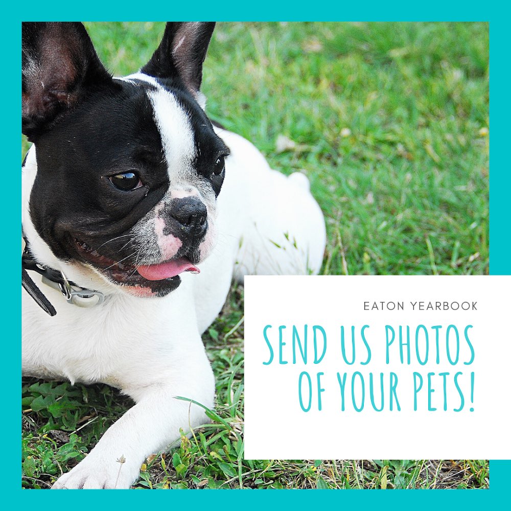 Eaton Yearbook tweet media