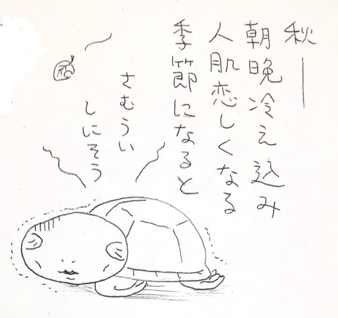 そろそろ朝晩の冷え込みが厳しい季節になって来たので 🐢の水槽にヒーターを入れました
という漫画(再掲)その①

#クサガメ #かめ太 #かめまんが 