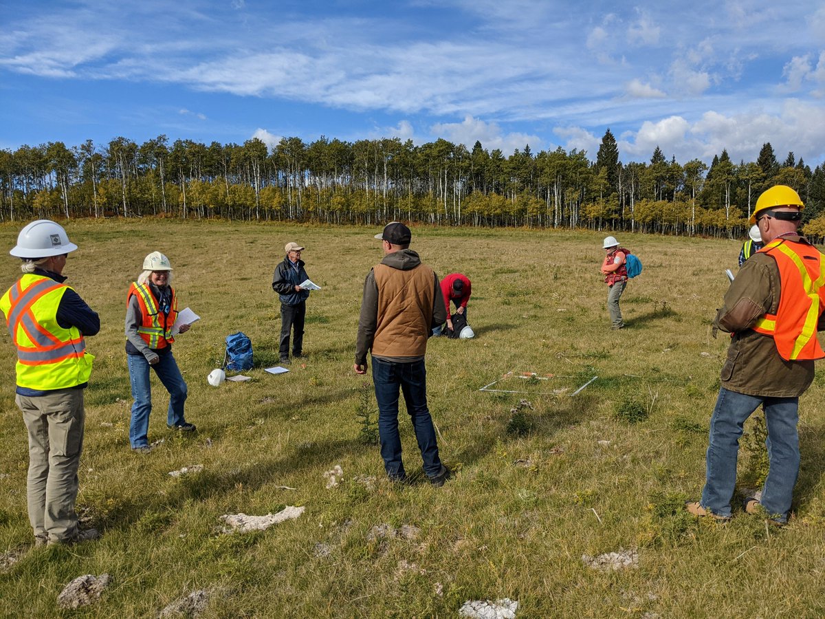 mdofranchlandag's tweet photo. Really enjoyed attending and presenting at the @FoothillsRF Grassland Conservation and Restoration in a Multiple Use Landscape tour last week. Appreciated the opportunity to share knowledge on our native seed harvesting program. Fun and informative event. https://t.co/m50gmflaCw
