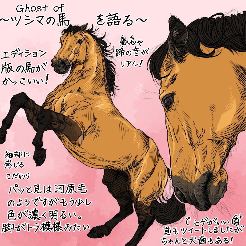 西郷トロ Ghostoftsushimaの馬を語る 語るとか言いつつ絵が中心ですが ツシマに出てくるガッチリした馬はサラを描く時とはまた違った楽しさがあります Ghostoftsushima ゴーストオブツシマ 馬 イラスト T Co Gnpmyfkzei Twitter