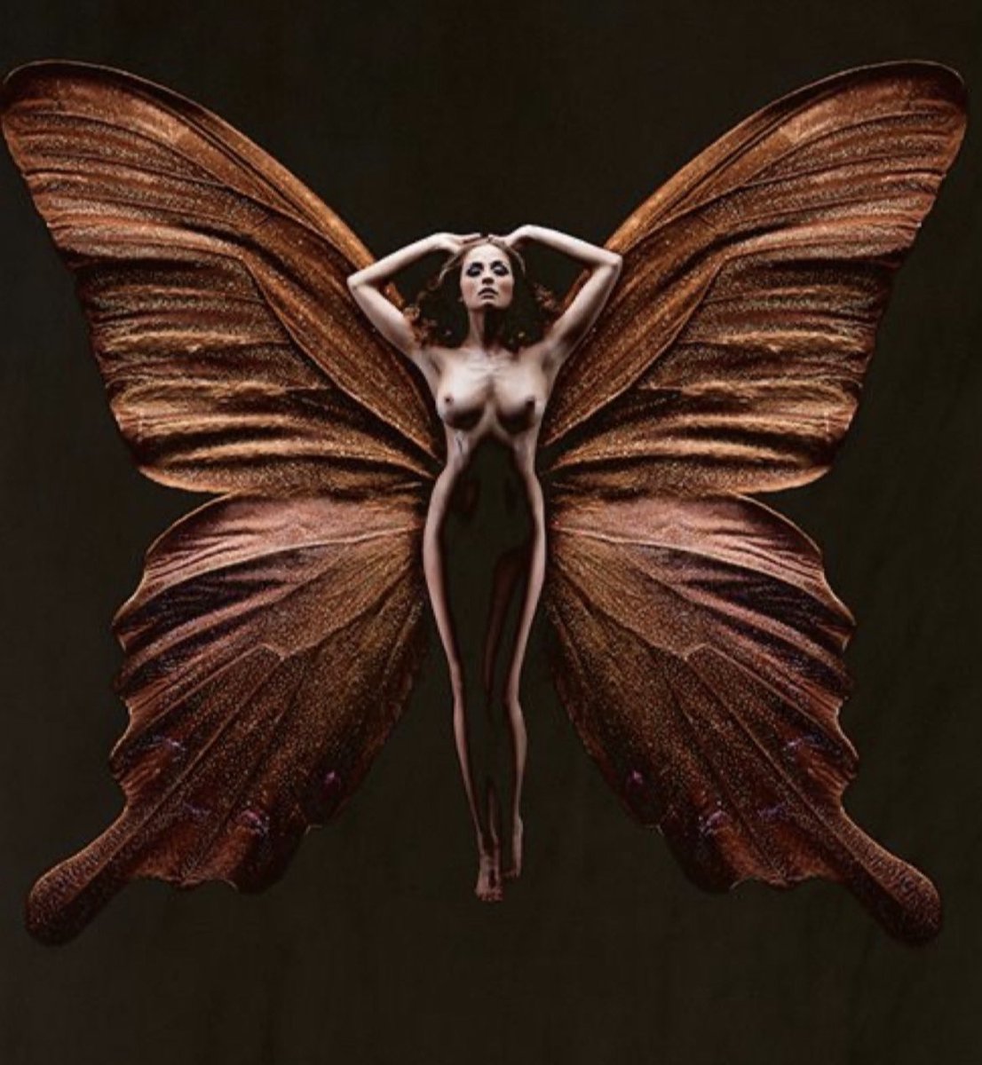 Lady butterfly. девушка-бабочка. "румяная дама" бабочки. бабочка репейница. женщина с крыльями бабочки.