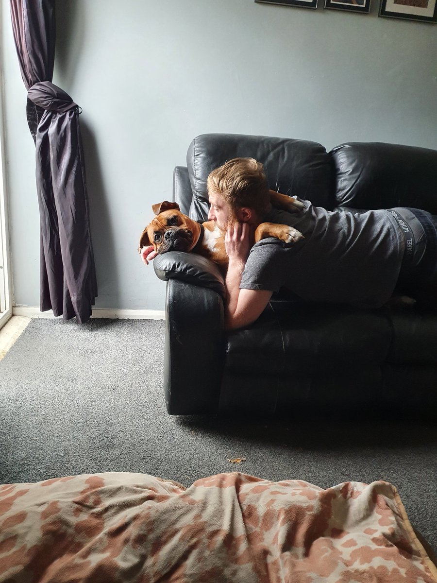 VickyPi58840741's tweet image. Max loves a cuddle 😍