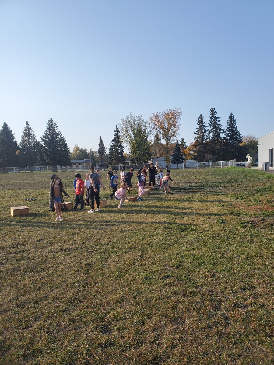 RCSPSSD's tweet image. These boxes are empty and were used to wedge equipment on cn trains. Got them for free. Sanded the edges down so corners aren&apos;t sharp. Currently being used for landings. Lots of great ideas for them!