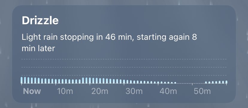 Nicholas Polt tweet media