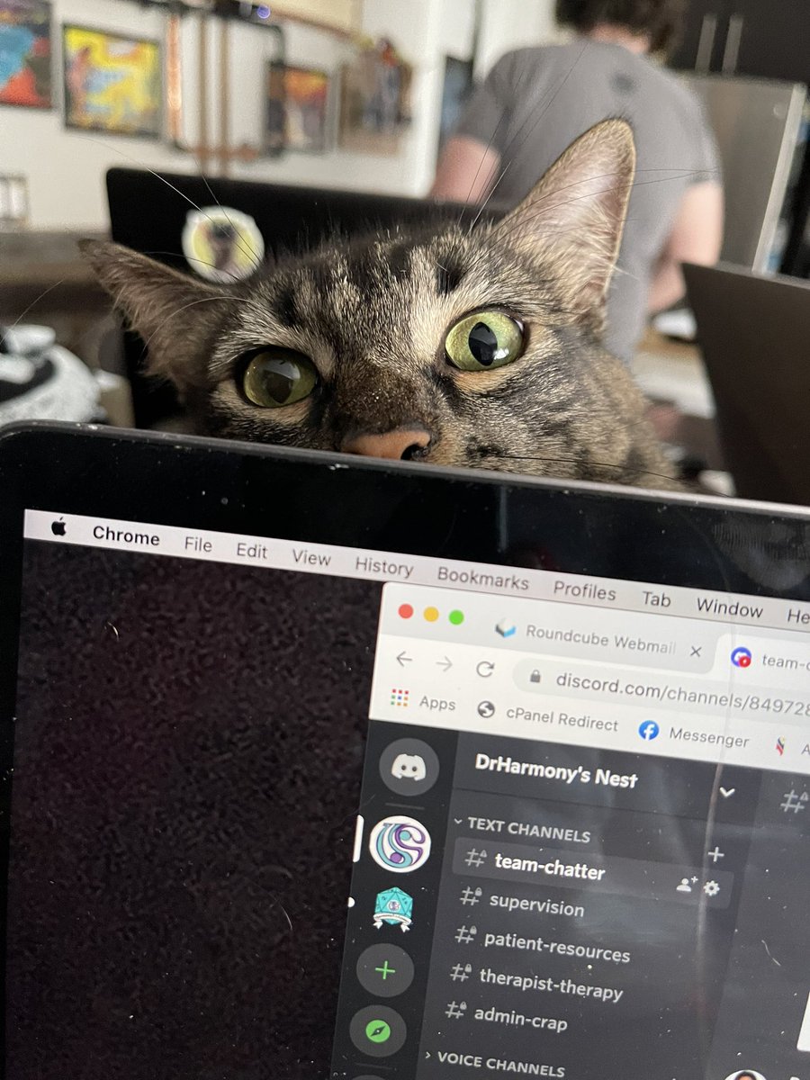 HarmonyUsInc's tweet photo. #shoggath says no anti-shoggath propaganda today #KeepHumansHome #PetCabal #CatsOfTwitter https://t.co/2KCpWZxTgh