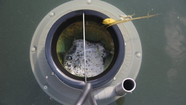 IJCsharedwaters's tweet image. .@mylakehead researcher says it won't be long before data on the amount of plastic in the water at the Thunder Bay harbour can be compared to other areas on the Great Lakes #Seabin : cbc.ca/news/canada/th…