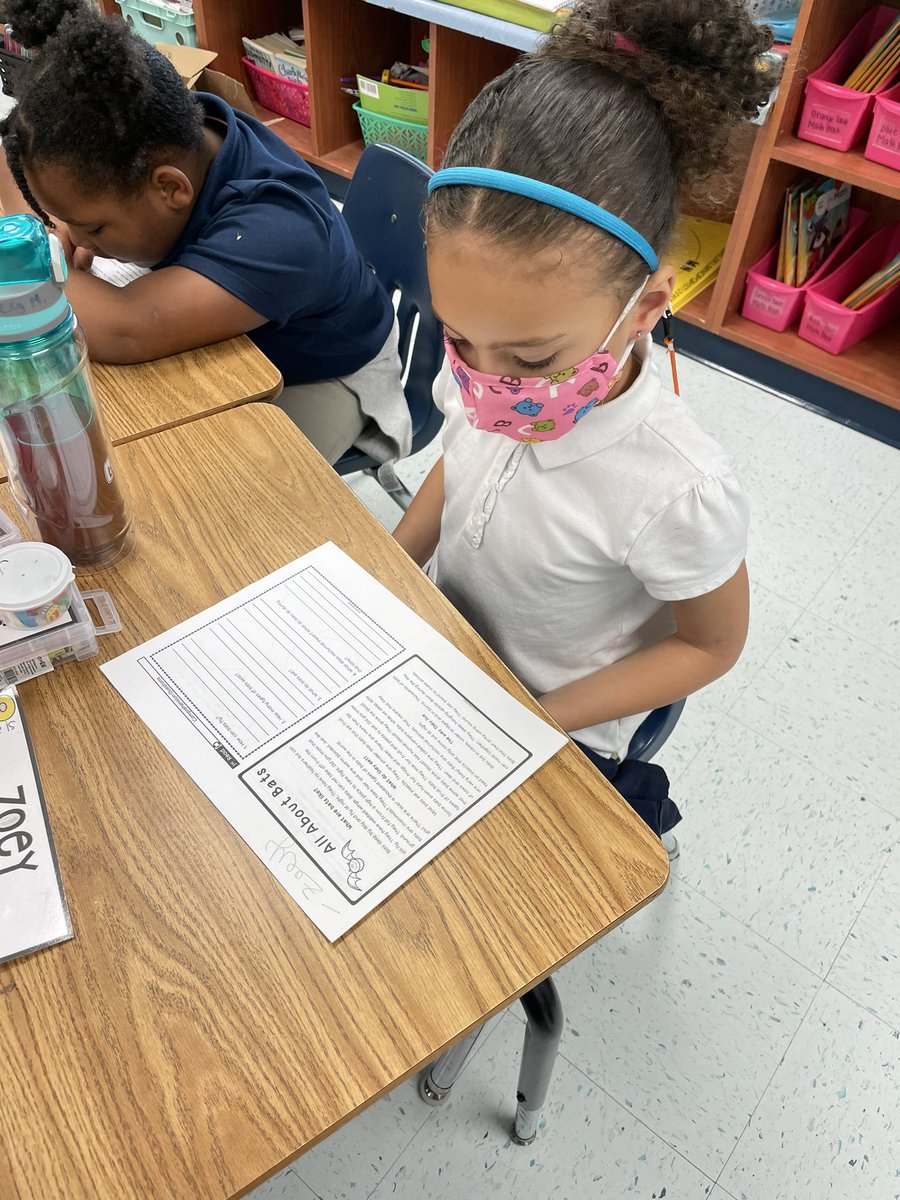MrsAddison9's tweet photo. Today we practiced finding the main idea and key details of a passage! Plus we learned something new about bats! @CollierES #beetheimpact https://t.co/cDS4DrcBeR